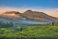Enjoy The Beauty Of Mountain Tourism In West Java